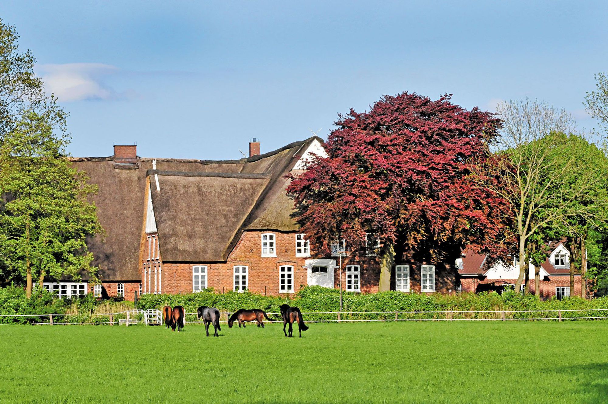 Tagungshotels: Peterhof - Landsitzhotel und Seminarium