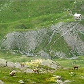 Eventlocation - Ramozhütte SAC Berghütte 