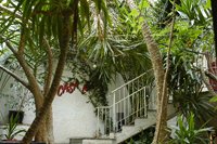 Eventlocation - Casa Loca Kilchberg