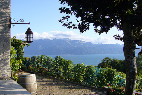 Eventlocation - Domaine du Daley  - La Salle des Vignerons 