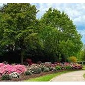 Eventlocation - Rhododendron-Park Bremen
