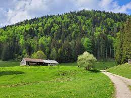 Eventlocation - Rehgrabenalm