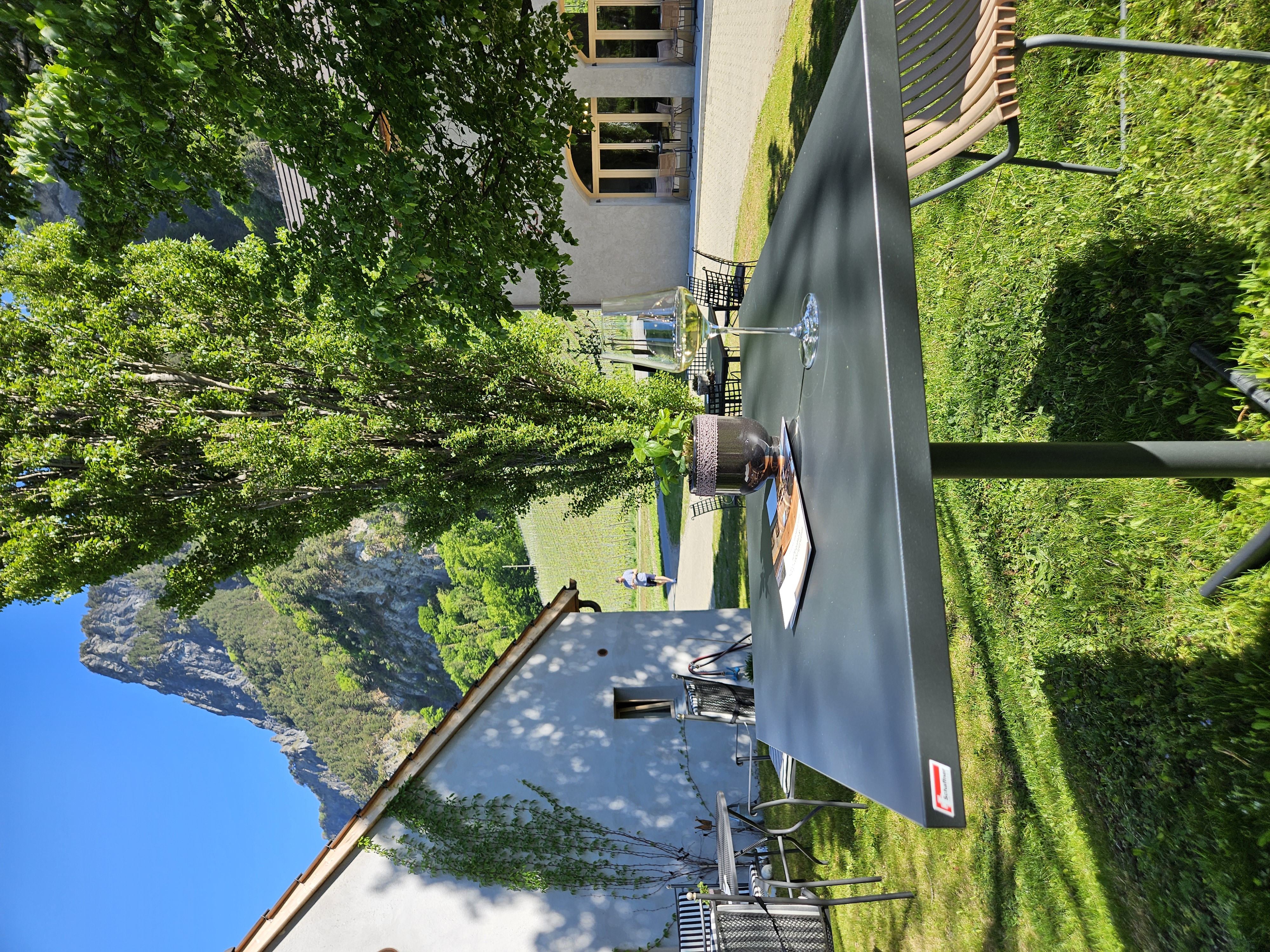 Eventlocations - Chur - Grünfläche im Innenhof mit Blick auf Regitzer Spitz und Rebberge - Eventlocation auf dem Weingut Marugg