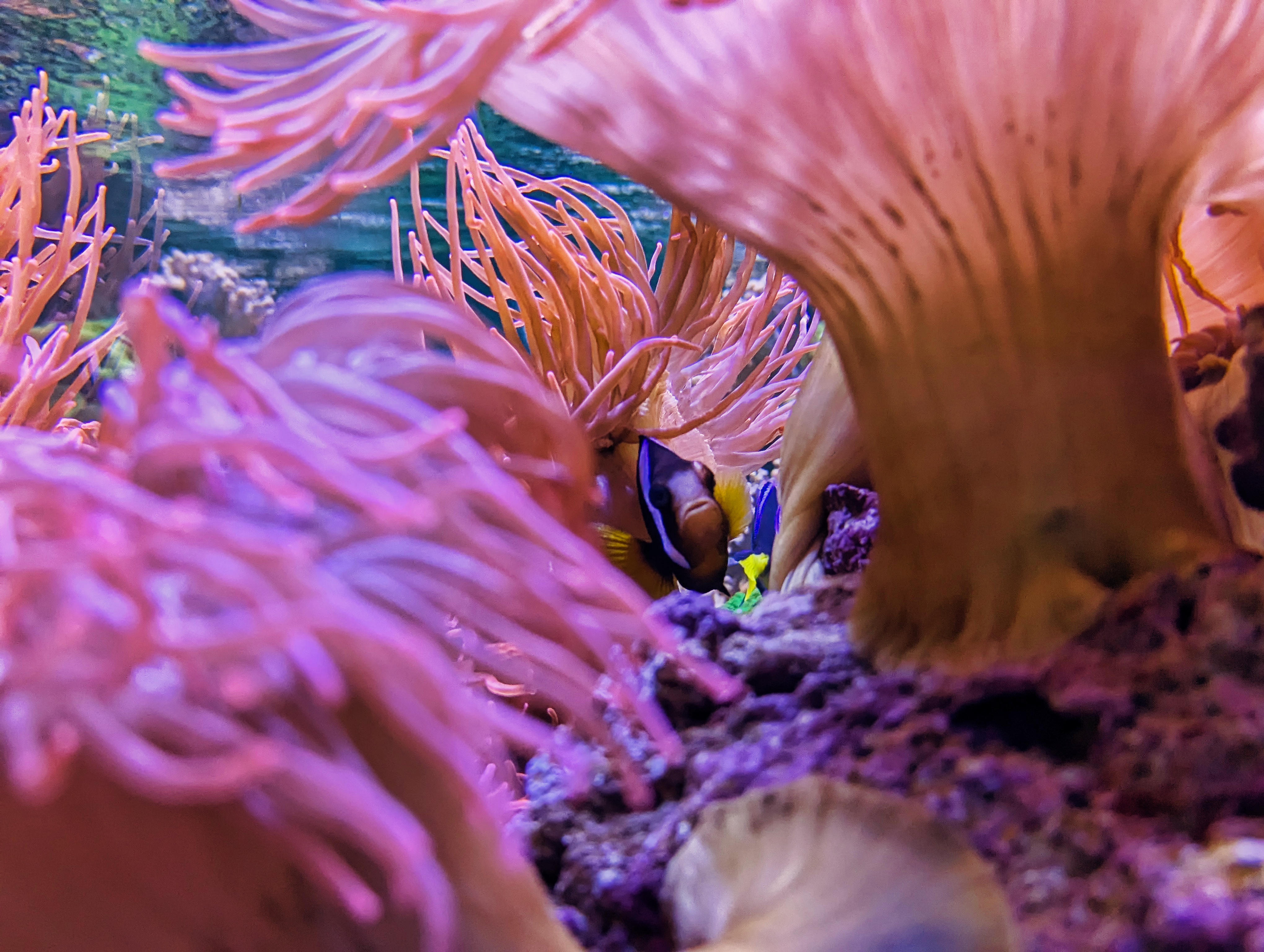 Eventlocation: Salzwasseraquarium für gute Luftqualität  - Meetingspace Leipzig 