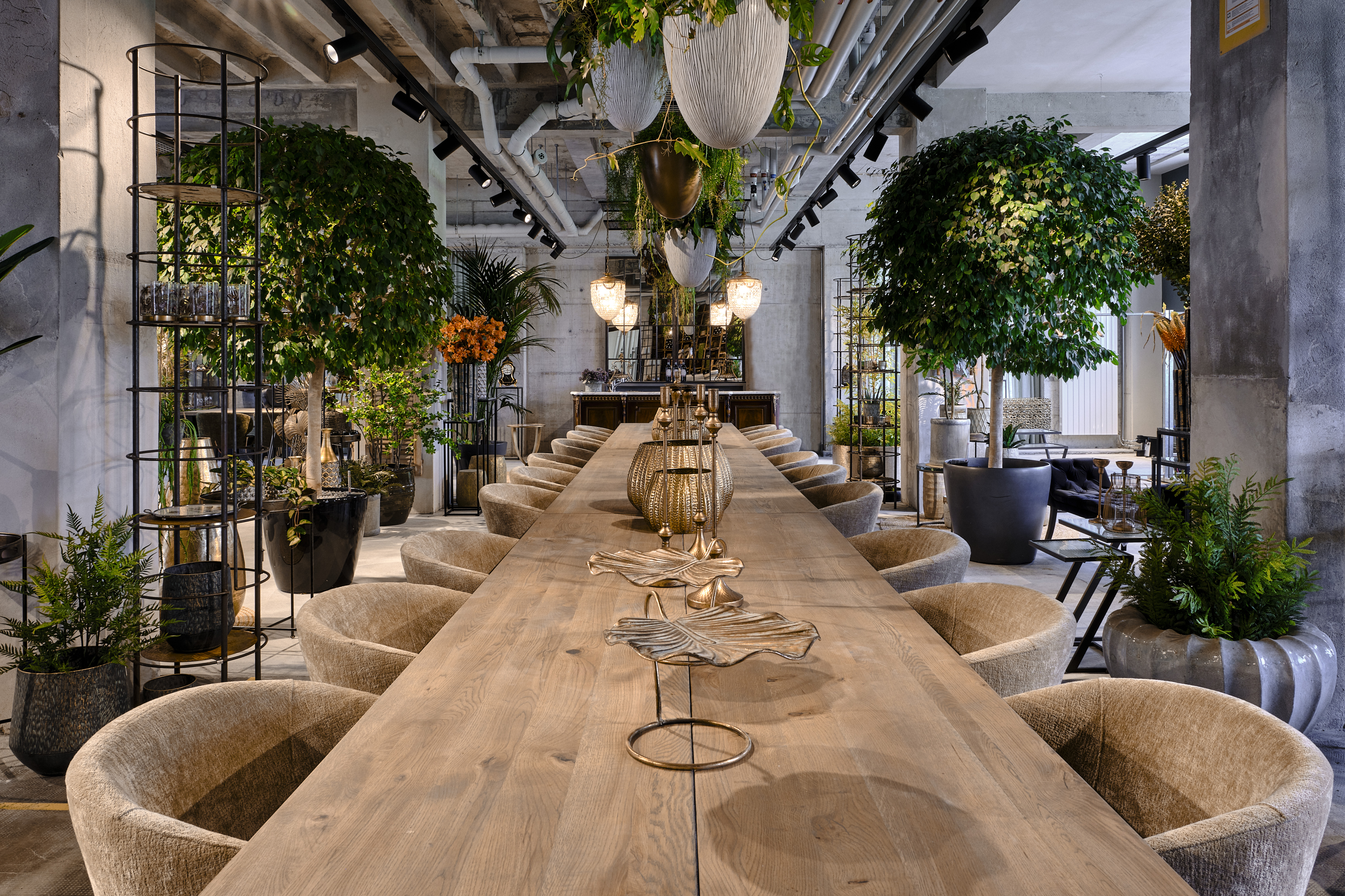 Eventlocation: Orangerie im Bernapark