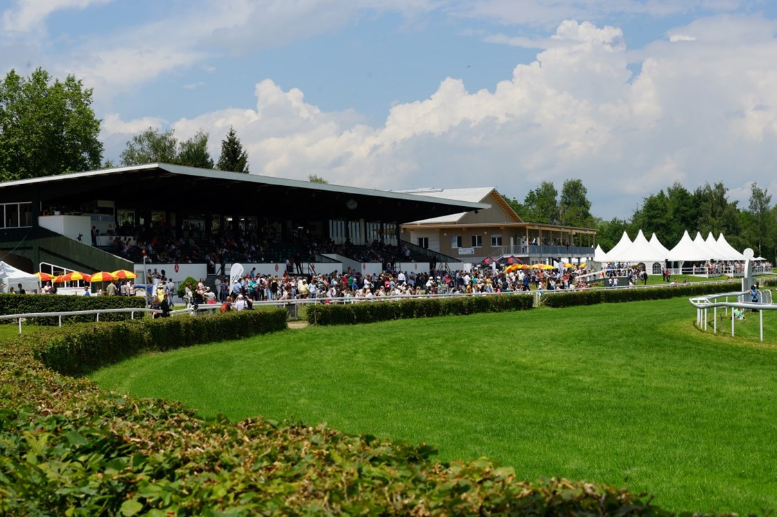 Eventlocation: Horse Park Zürich-Dielsdorf