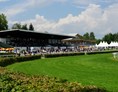 Eventlocation: Horse Park Zürich-Dielsdorf