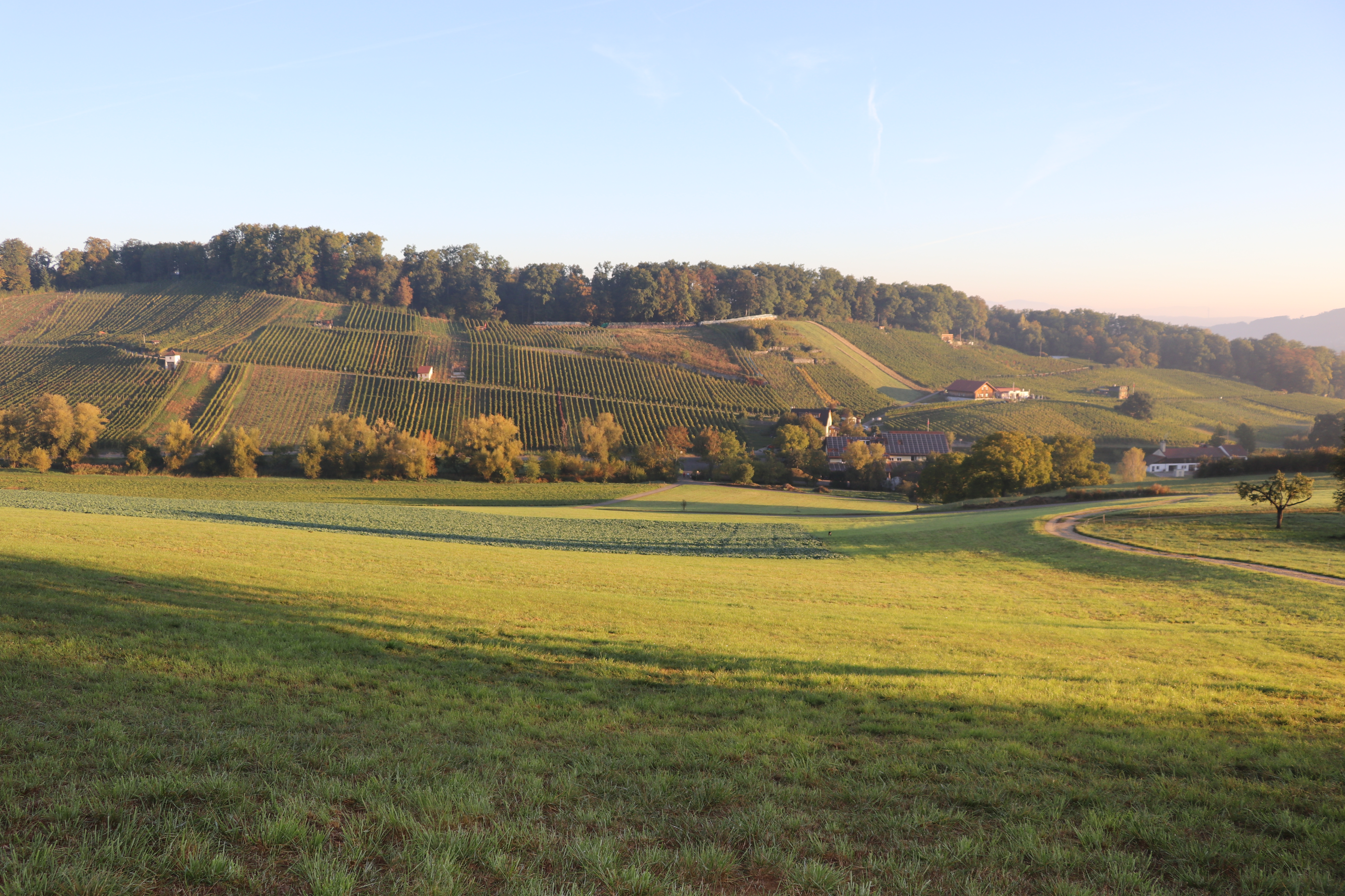 Eventlocations - Pfeffingen - Klus 177