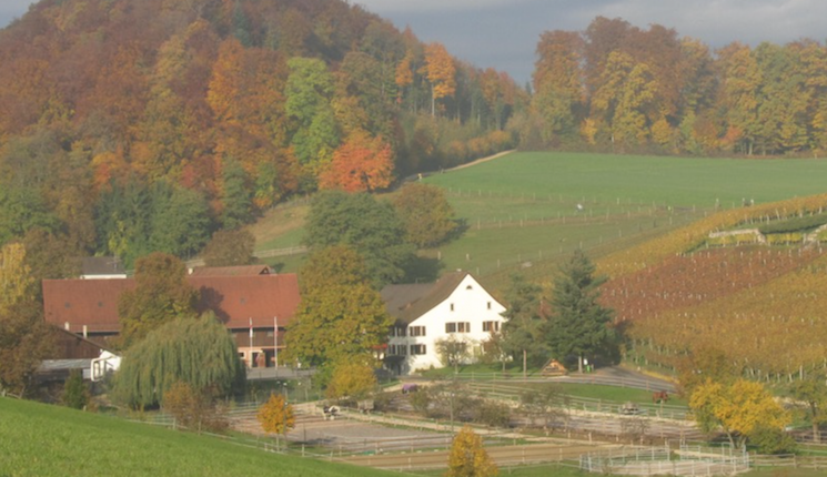 Eventlocations - Pfeffingen - Klushof