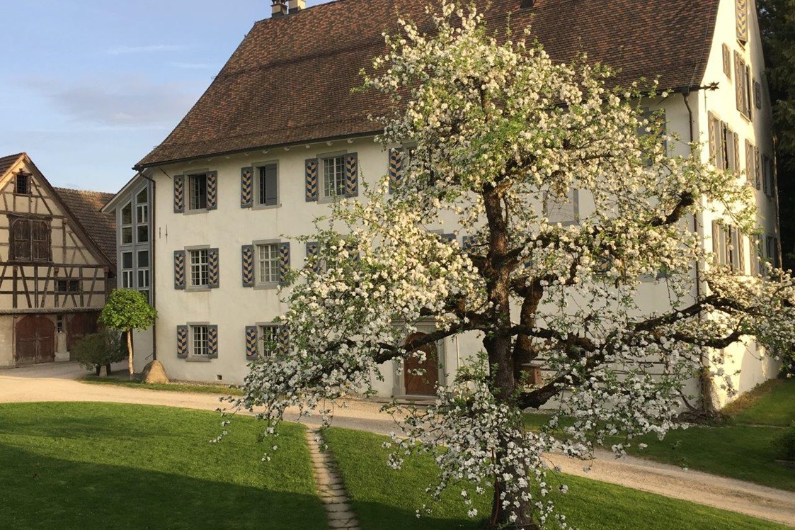 Eventlocation: Hofgut Schloss Gündelhart