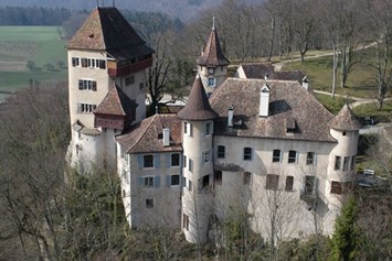 Eventlocation: Schloss Wildenstein  für Veranstaltungen, Events, Tagungen, Hochzeit