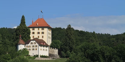 Eventlocations - Altishofen - Schloss Heidegg 