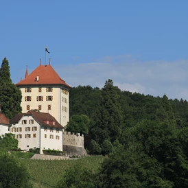 Eventlocation: Schloss Heidegg 