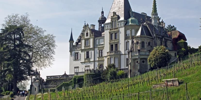 Eventlocations - Entlebuch - Schloss Meggenhorn