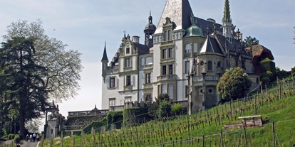 Eventlocations - Bürglen OW - Schloss Meggenhorn