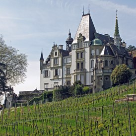 Eventlocation: Schloss Meggenhorn