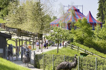 Eventlocation: Abenteuerland Walter Zoo AG Gossau