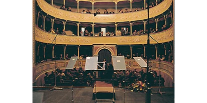 Eventlocations - Orselina - Teatro Sociale Bellinzona