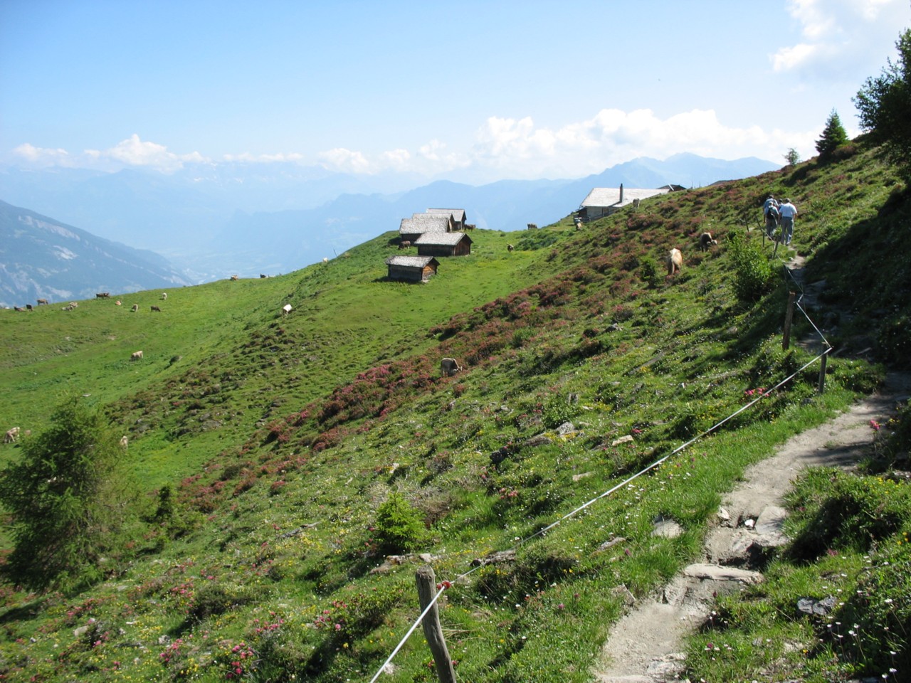 Eventlocations - Chur - Alphütte Da Veulden