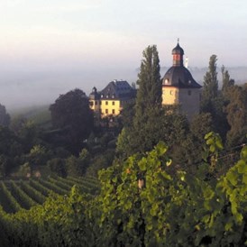 Eventlocation: Schloss Vollrads