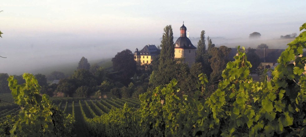Location: Schloss Vollrads