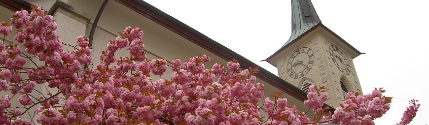 Eventlocations - Rudolfstetten - Ref. Kirchgemeindehaus