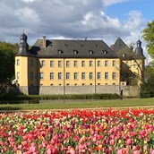Location - Schloss Dyck