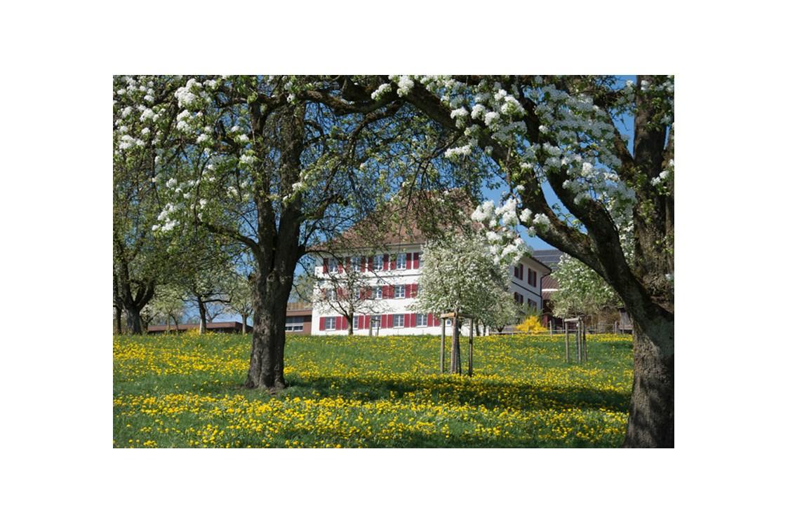 Eventlocation: Berghof Hallau