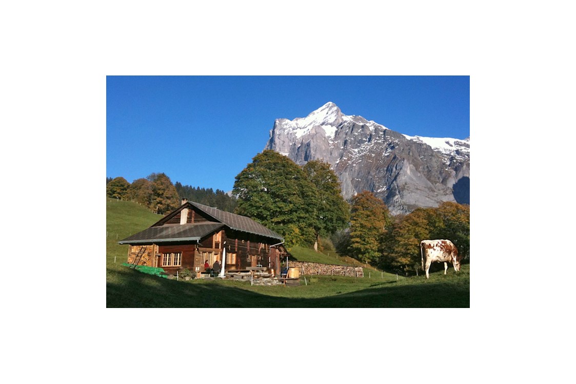 Eventlocation: Alphütte "YETI"