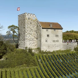 Eventlocation: Schloss Habsburg