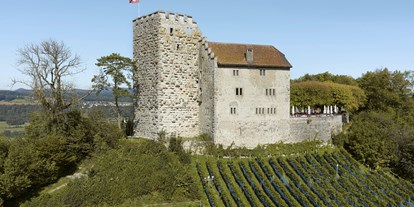 Eventlocations - PLZ 5000 (Schweiz) - Schloss Habsburg