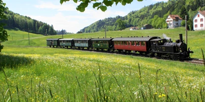 Eventlocations - Schmerikon - Dampfbahnverein Zürcher Oberland DVZO