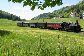 Eventlocation: Dampfbahnverein Zürcher Oberland DVZO