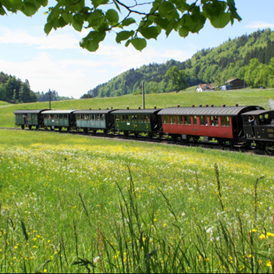 Eventlocation: Dampfbahnverein Zürcher Oberland DVZO