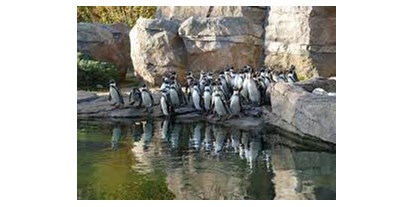 Eventlocations - PLZ 60487 (Deutschland) - Zoo Frankfurt
