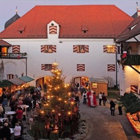 Eventlocation: Schloss Kronburg