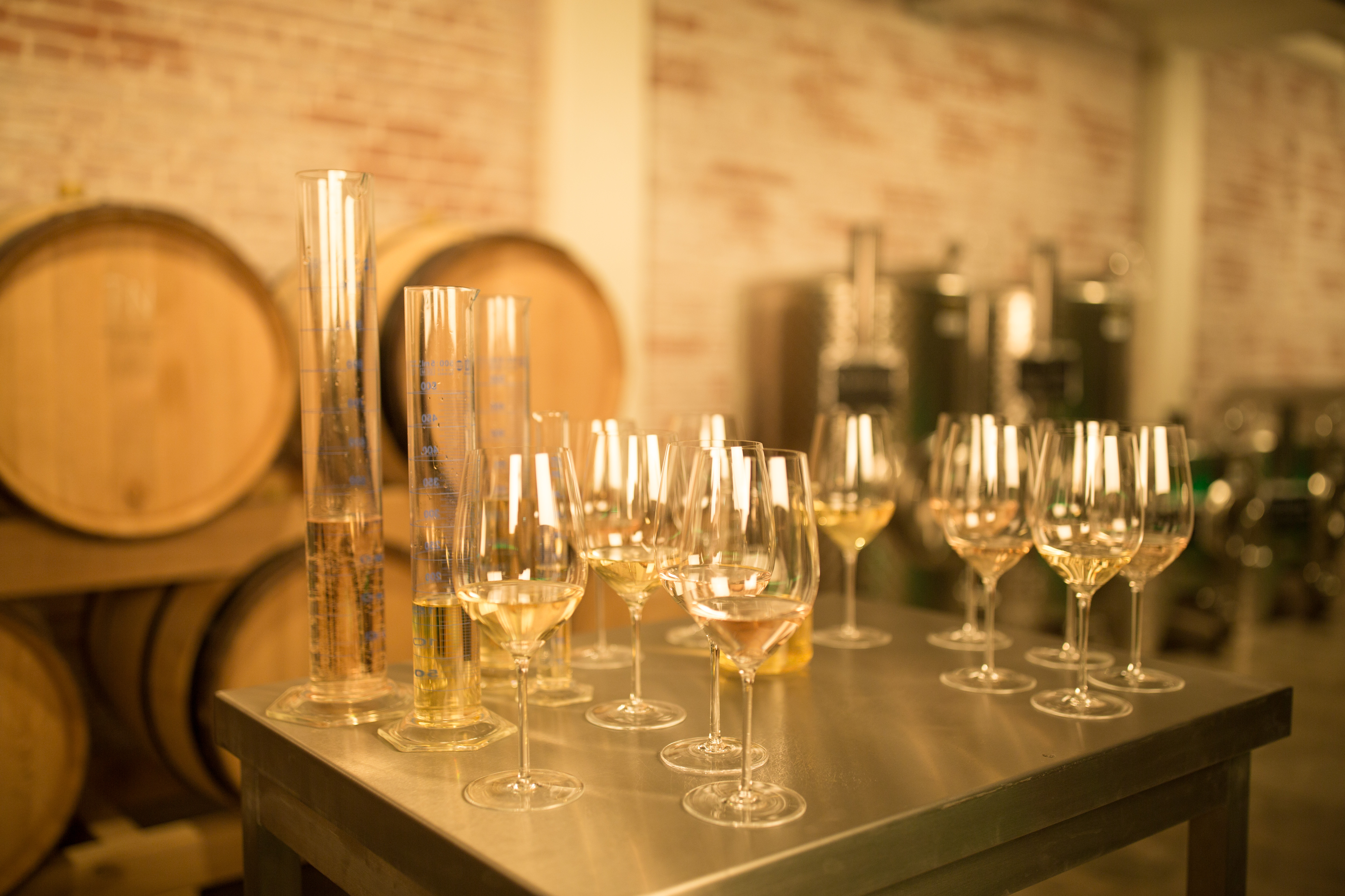 Eventlocation: Sektherstellung hautnah erleben - Sektmanufaktur Wiesbaden 