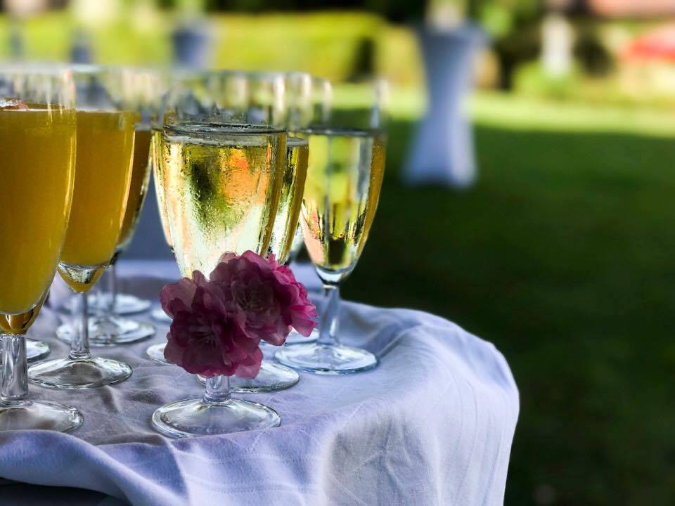 catering: GAVESI Event & Catering 