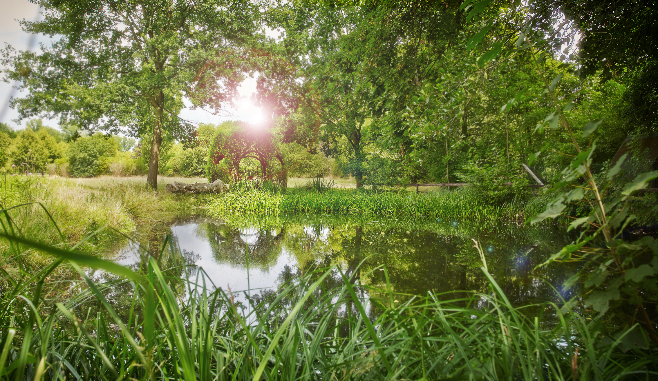 Tagungshotel: Teich und Weidenlaube - Der Linslerhof - Hotel, Restaurant, Events & Natur